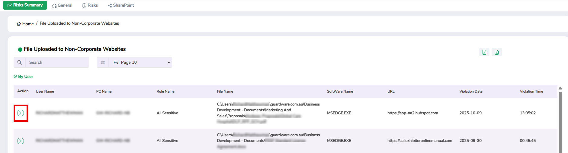 INSIGHT_Risks_Summary_ Non_Corporate_Websites_Drilldown1.png